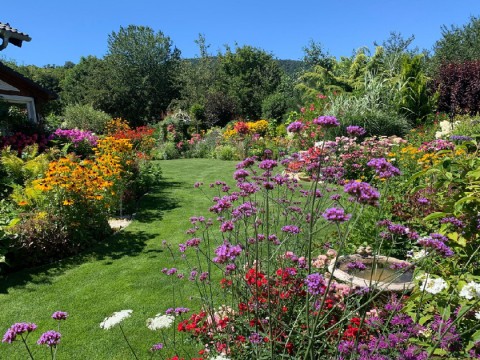 Készüljünk tudatos növényválasztással az aszályos évekre!