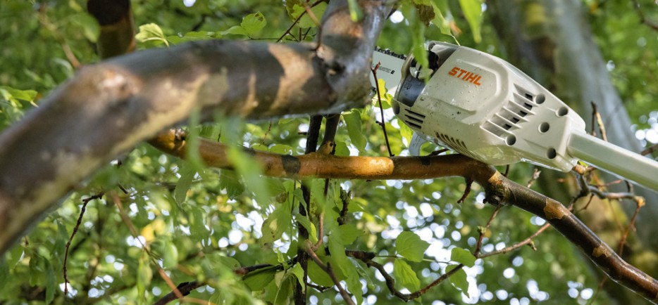 A metsz&eacute;s &eacute;s az &aacute;gv&aacute;g&aacute;s eszk&ouml;zei &ndash; Metszőoll&oacute;k, fűr&eacute;szek, &aacute;gv&aacute;g&oacute;k