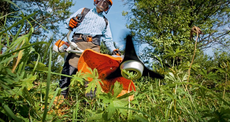 Ezzel az egyetlen eszközzel vegye fel a harcot a parlagfű ellen