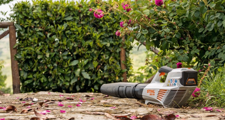 Ezt tedd, hogy többé ne okozzon bosszúságot az őszi avar