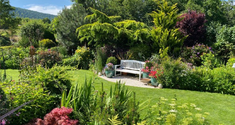 Ajánlott örökzöldek a kertbe és a fajtanevek fontossága