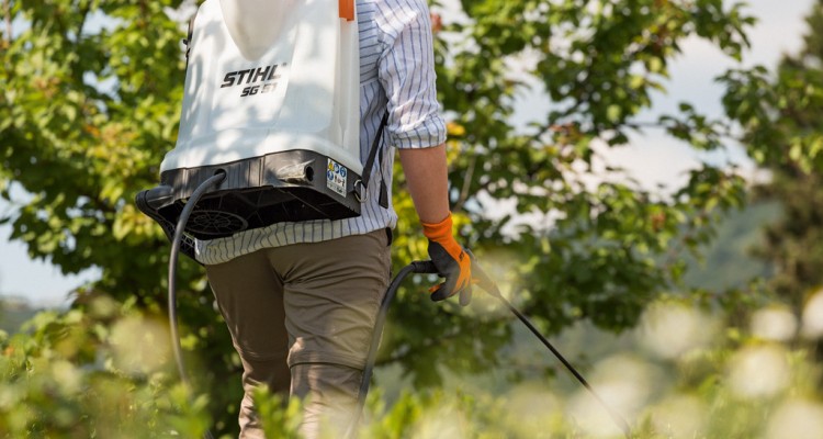 Mi az a lisztharmat &eacute;s hogyan v&eacute;dekezhet&uuml;nk ellene?