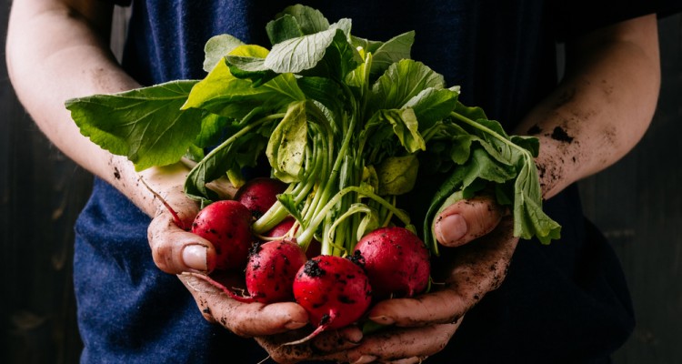5 z&ouml;lds&eacute;g, amit m&aacute;r m&aacute;rciusban vethet&uuml;nk szabadf&ouml;ldbe