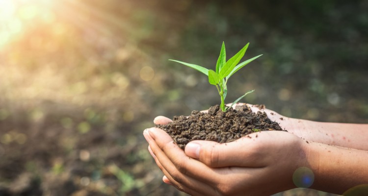 Komposzt&aacute;l&aacute;s &ndash; Koppintsuk le az erdőt!