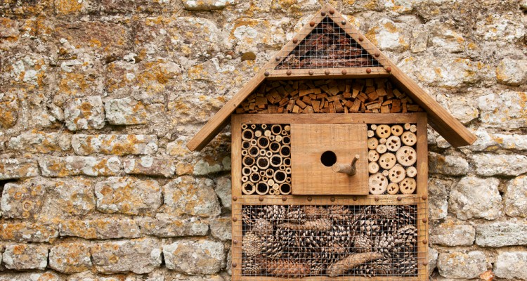 Rovar hotel kert&uuml;nk hasznos lak&oacute;inak &ndash; Mi&eacute;rt j&oacute; a dar&aacute;zs gar&aacute;zs?