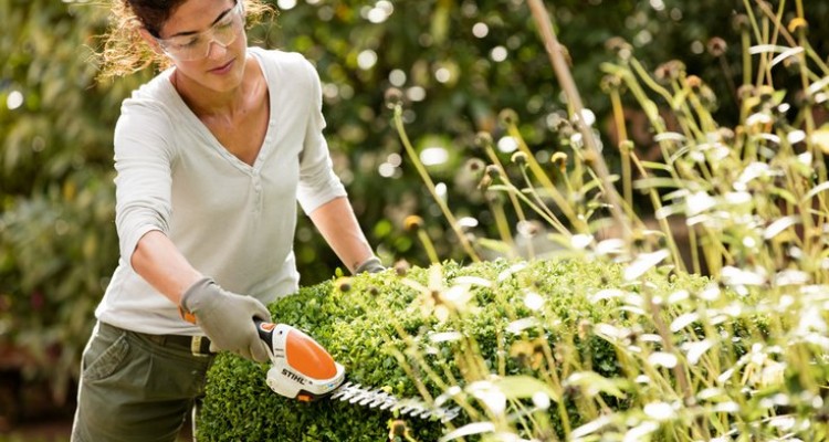 5 aj&aacute;nd&eacute;k a kar&aacute;csonyfa al&aacute;, aminek minden vag&aacute;ny nő &ouml;r&uuml;lne