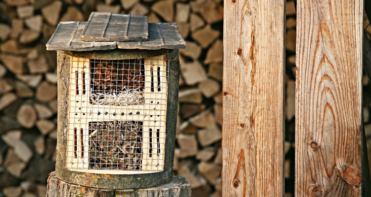 Hasznos kerti &aacute;llatok