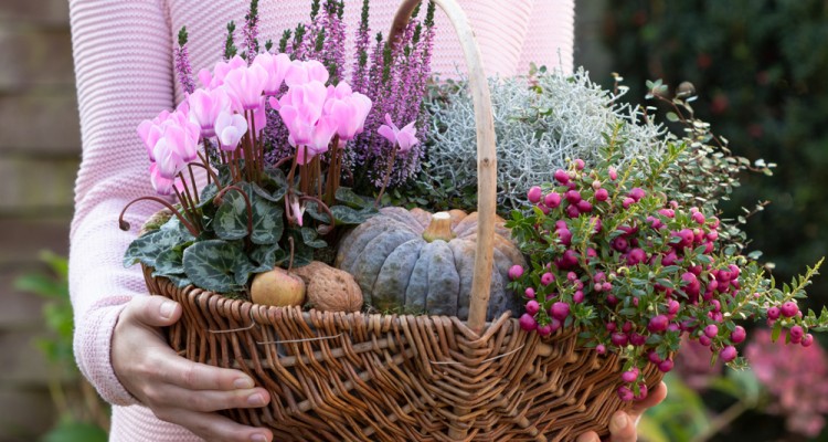 6 t&eacute;l&aacute;ll&oacute; d&iacute;szn&ouml;v&eacute;ny a teraszra &eacute;s az ablakp&aacute;rk&aacute;nyba