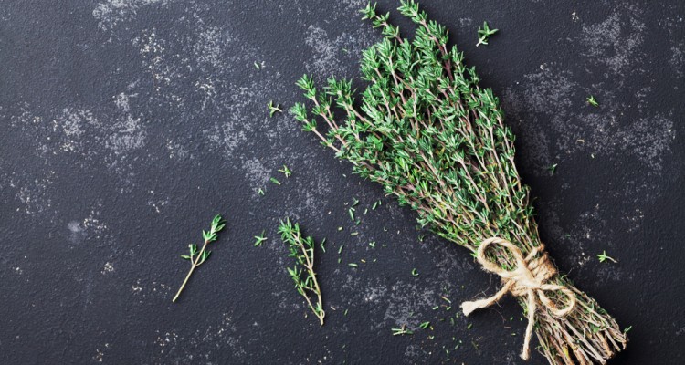 6 &eacute;velő gy&oacute;gyn&ouml;v&eacute;ny, ami nem hi&aacute;nyozhat a konyhakertből