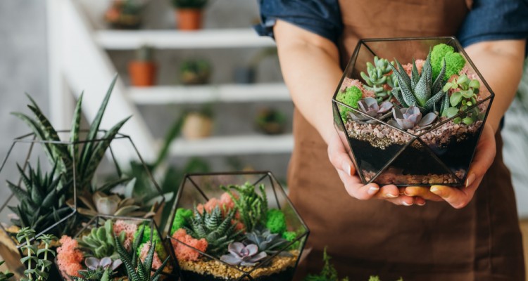 &Iacute;gy k&eacute;sz&iacute;ts&uuml;nk flor&aacute;riumot