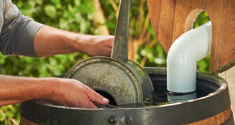 &Ouml;nt&ouml;z&eacute;s, esőv&iacute;zgyűjt&eacute;s, sz&aacute;razs&aacute;gtűrő d&iacute;szn&ouml;v&eacute;nyek