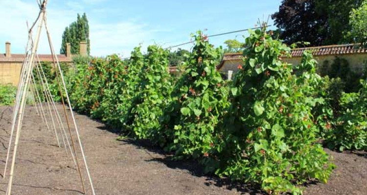 &Iacute;gy k&eacute;sz&uuml;l a babs&aacute;tor