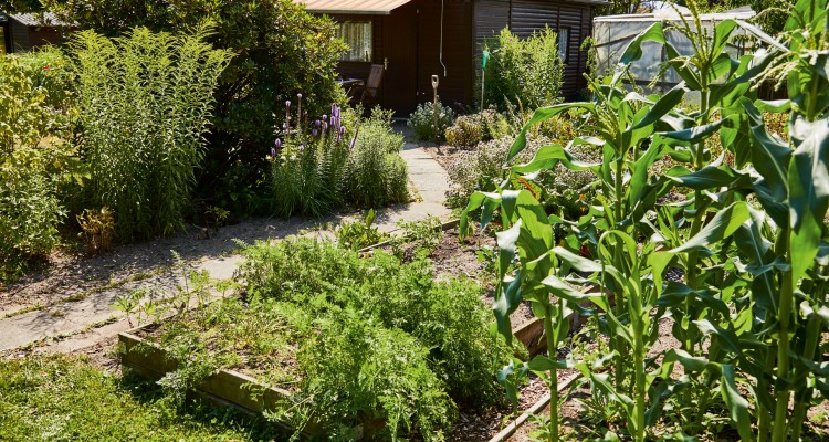 Fenntarthat&oacute; kert