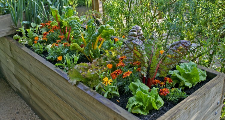 N&ouml;v&eacute;nytermeszt&eacute;s a magas&aacute;gy&aacute;sban eg&eacute;sz &eacute;vben