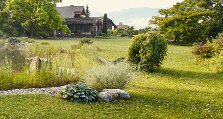 Füvesítés helyesen