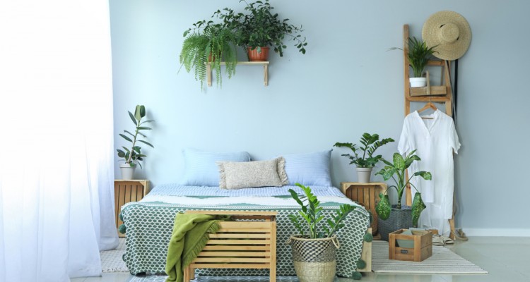 A legjobb szoban&ouml;v&eacute;nyek a h&aacute;l&oacute;szob&aacute;ba